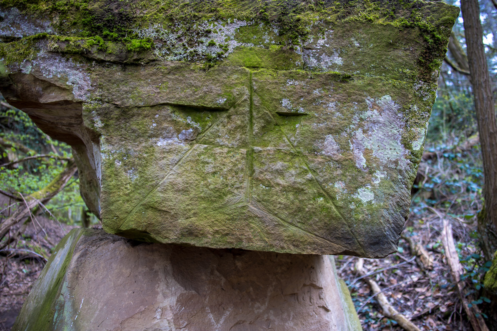 20220410111722 R5D 1939